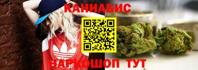 молекула духа Заводоуковск