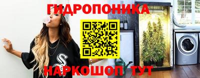 спиды Жуковский